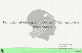 Functional Groups in Organic Compounds  (workshop)