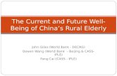 The Current and Future Well-Being of China’s Rural Elderly