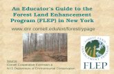 An Educator’s Guide to the Forest Land Enhancement Program (FLEP) in New York