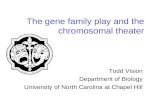 The gene family play and the chromosomal theater
