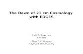 21 cm cosmology