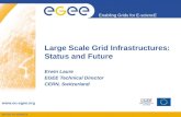 Large Scale Grid Infrastructures:  Status and Future