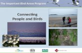 The Important Bird Areas Program