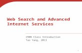 Web Search and Advanced Internet Services