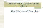 The SYNTAX section of the DELV