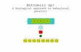 Bottom(s) Up! A biological approach to behavioral genetics