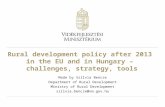Rural development policy after 2013  in the EU and in Hungary –  challenges, strategy, tools