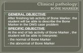 Clinical pathology:  BONE MARKER
