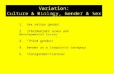 Variation: Culture & Biology, Gender & Sex