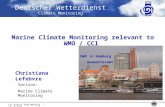 Marine Climate Monitoring relevant to WMO / CCl