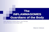 The  INFLAMMASOMES Guardians of the Body