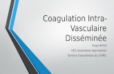 Coagulation Intra-Vasculaire Disséminée