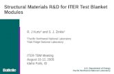 Structural Materials R&D for ITER Test Blanket Modules