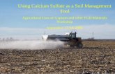 Using Calcium Sulfate as a Soil Management Tool