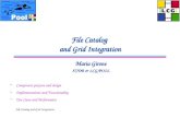 File Catalog  and Grid Integration