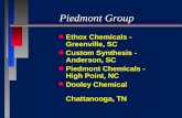 Piedmont Group