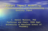 Budget Impact Modeling: Appropriateness and Determining Quality Input