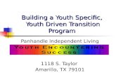 Building a Youth Specific,  Youth Driven Transition Program