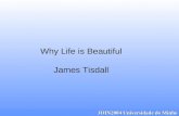 Why Life is Beautiful James Tisdall