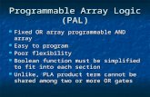 Programmable Array Logic (PAL)