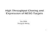 High Throughput Cloning and Expression of NESG Targets