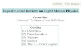 Experimental Review on Light Meson Physics