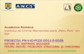 Academia Română Institutul de Chimie Macromoleculară „Petru Poni” din Iaşi