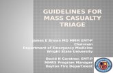 Guidelines for Mass Casualty Triage