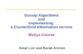 Gossip Algorithms and Implementing  a Cluster/Grid Information service MsSys Course