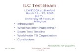 ILC Test Beam