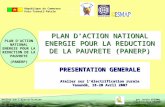 PLAN D’ACTION NATIONAL ENERGIE POUR LA REDUCTION DE LA PAUVRETE (PANERP)