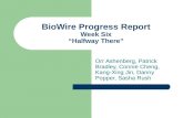 BioWire Progress Report Week Six “Halfway There”