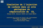 Simulation de l’injection de carbone dans un site géologique de séquestration du  CO 2