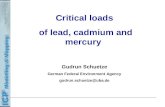 Critical loads  of lead, cadmium and mercury  Gudrun Schuetze German Federal Environment Agency