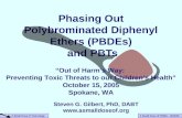 Phasing Out Polybrominated Diphenyl Ethers (PBDEs)  and PBTs