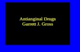 Antianginal Drugs Garrett J. Gross