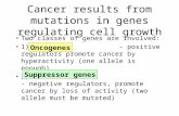 Cancer results from mutations in genes regulating cell growth