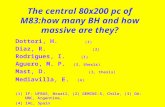 The central 80x200 pc of M83:how many BH and how massive are they?