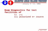 Beam Diagnostics for test facilities of  i)   g-g ii) polarized e+ source