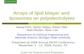 Arrays of lipid bilayer and  liposomes on polyelectrolytes