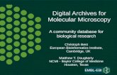 Digital Archives for Molecular Microscopy