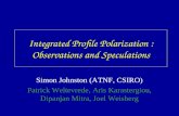 Integrated Profile Polarization : Observations and Speculations