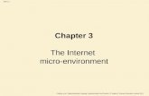 Chapter 3 The Internet  micro-environment