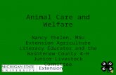 Animal Care and Welfare