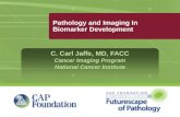 Pathology and Imaging In Biomarker Development