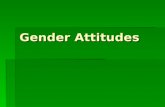 Gender Attitudes