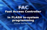 Fast Access Controller in FLASH in-system programming