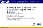 Porting MPI Applications use cases: OpenFOAM, Fluent