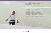 Alcatel-Lucent Routing Protocols