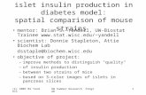 islet insulin production in diabetes model: spatial comparison of mouse strains
